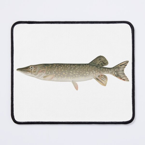 Item preview, Pike designed and sold by Angry Swan Designs.
