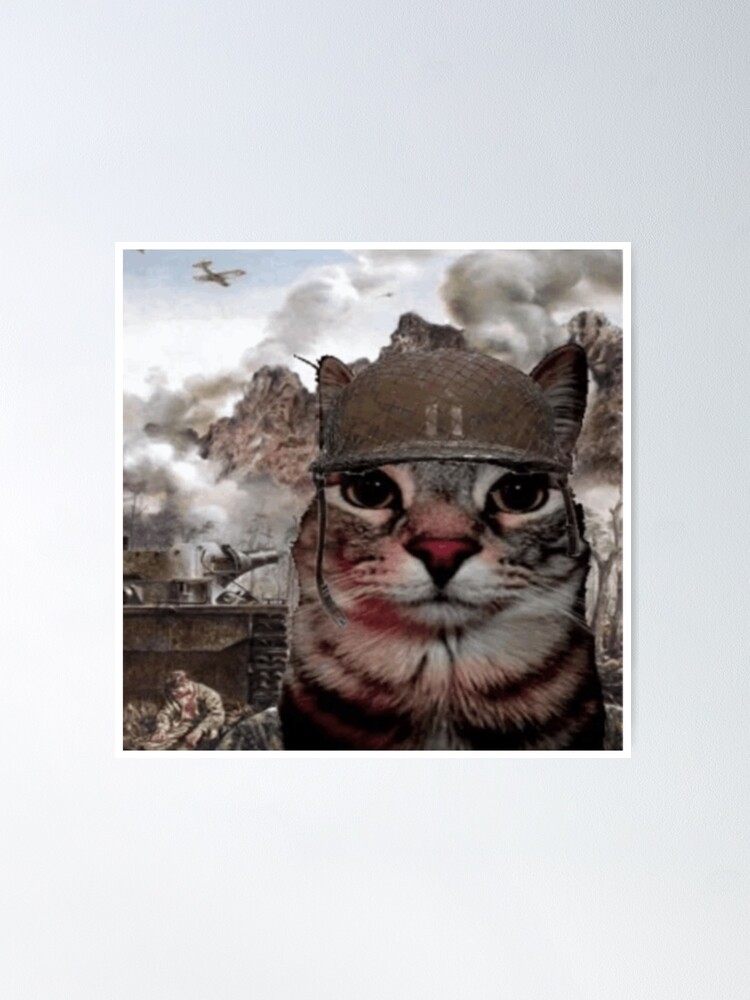 War Cat Thousand Yard Stare Meme