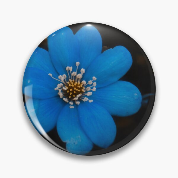 Item preview, Dark Anemones designed and sold by ElderIslesPress.