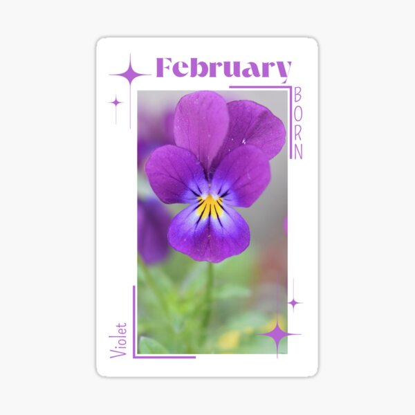 February Birthday Gift, Personalized Birth Flower Mug for Her Minimalist  Floral Mug for Aquarius or Pisces Born in February Bday Violet 