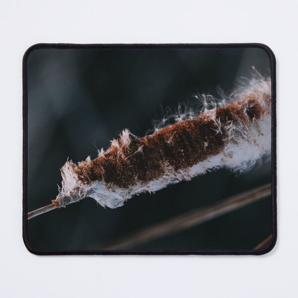 Item preview, Winter Cattail designed and sold by MoodandMagic.