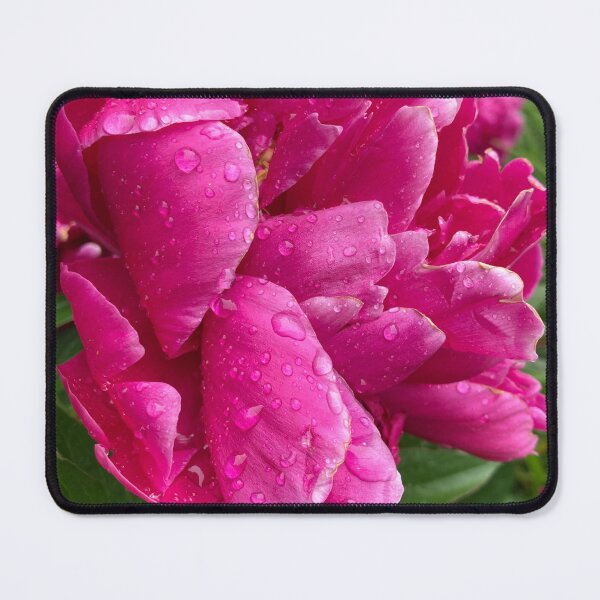 Item preview, Pink Peony after the Rain designed and sold by Notcamerashy.