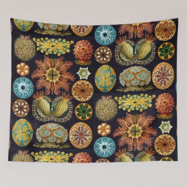 Item preview, Ernst Haeckel - Kunstformen Der Natur - Actiniae Seeanemonen Sea anemones designed and sold by cutesy.