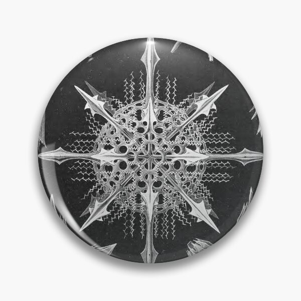 Item preview, Ernst Haeckel Acanthophracta Forms of Nature Coral Skeleton designed and sold by cutesy.