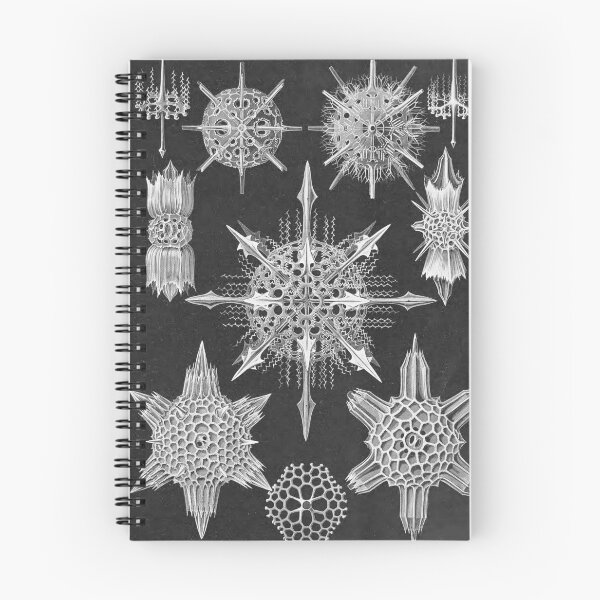 Item preview, Ernst Haeckel Acanthophracta Forms of Nature Coral Skeleton designed and sold by cutesy.