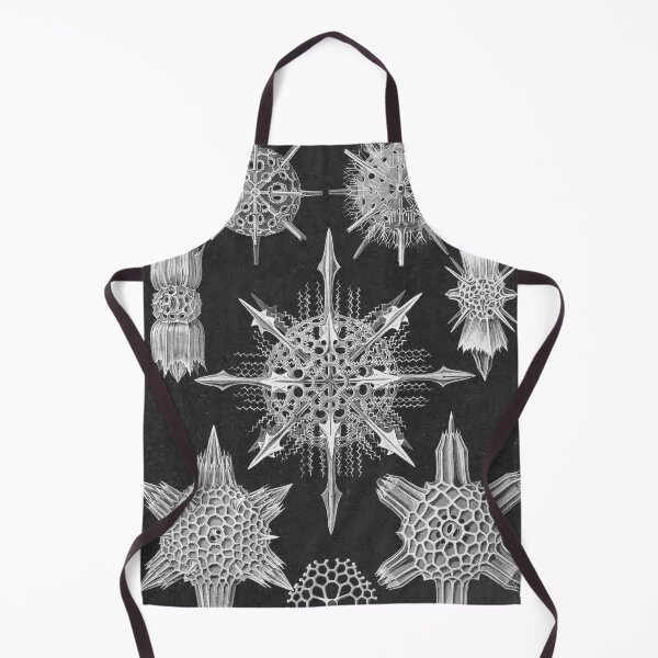 Item preview, Ernst Haeckel Acanthophracta Forms of Nature Coral Skeleton designed and sold by cutesy.
