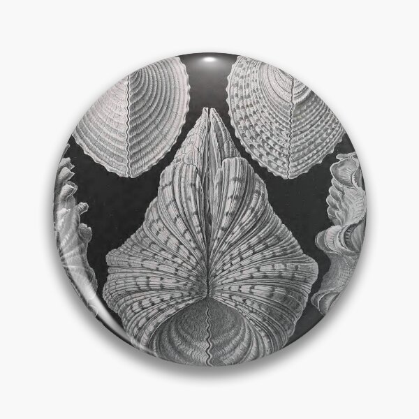 Item preview, Ernst Haeckel Forms of Nature Seashells Acephala designed and sold by cutesy.