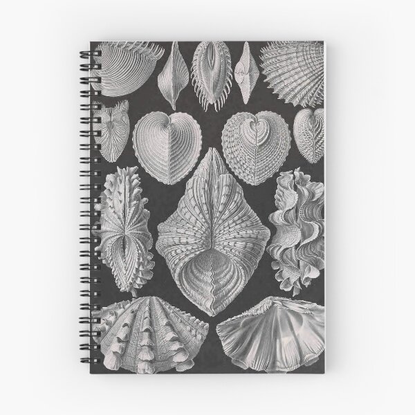 Item preview, Ernst Haeckel Forms of Nature Seashells Acephala designed and sold by cutesy.