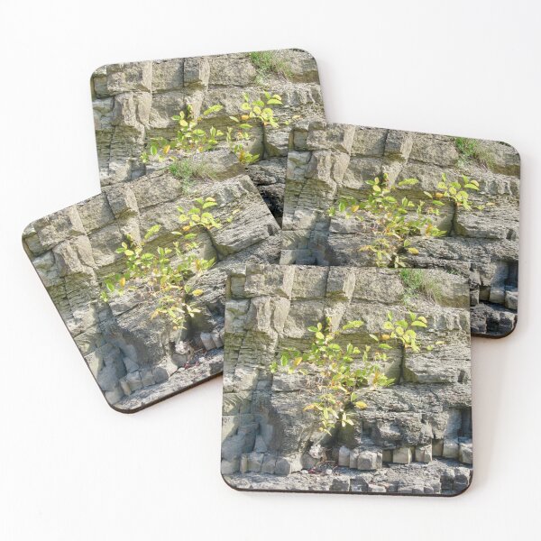 Item preview, Cliffs along the Ottawa River designed and sold by Shulie1.