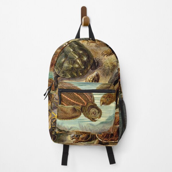 Item preview, Tortoise Fine Art Antique Chelonia by Ernst Haeckel designed and sold by cutesy.