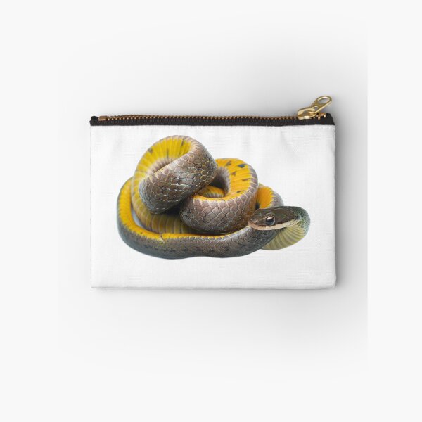 Item preview, Royal ground snake (Erythrolamprus reginae) - Yasuni National Park, Ecuador designed and sold by vincentpremel.