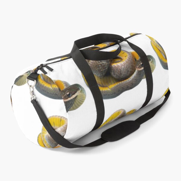 Item preview, Royal ground snake (Erythrolamprus reginae) - Yasuni National Park, Ecuador designed and sold by vincentpremel.