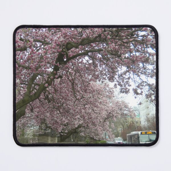 Item preview, Staten Island Spring designed and sold by callistuh.
