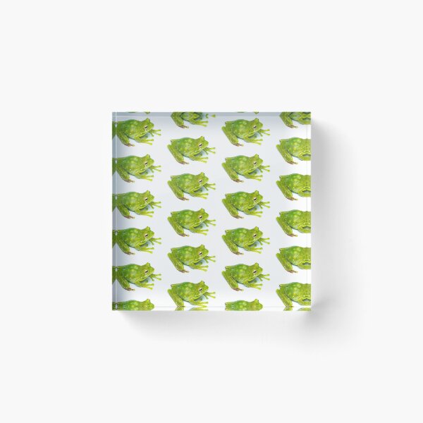 Item preview, Green marsupial frog, Ecuador designed and sold by vincentpremel.