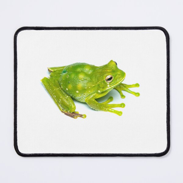 Item preview, Green marsupial frog, Ecuador designed and sold by vincentpremel.