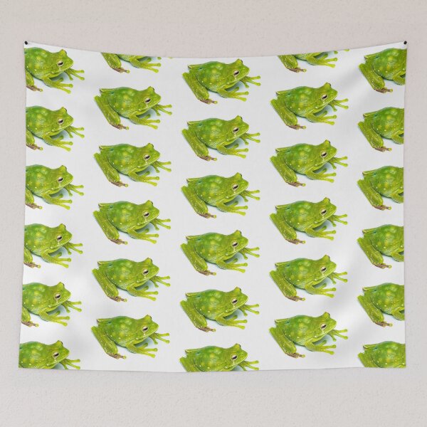 Item preview, Green marsupial frog, Ecuador designed and sold by vincentpremel.