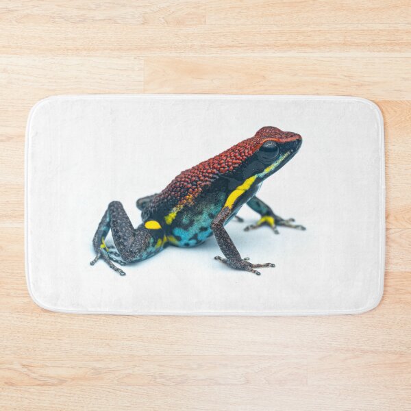 Item preview, Red poison dart frog of Ecuador designed and sold by vincentpremel.