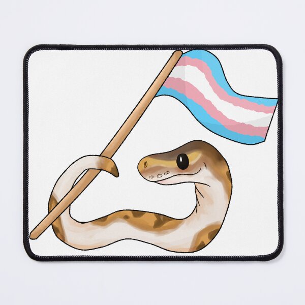 Item preview, Ball Python Pride! [Piebald Morph, Transgender] designed and sold by Quirkball.