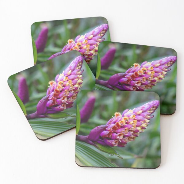 Item preview, Tropical Bloom designed and sold by Julie Navitka.