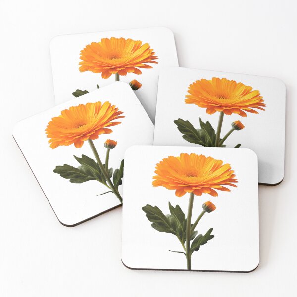 Item preview, Marigold, Digital art, Backgroundless designed and sold by LiliesPrint.