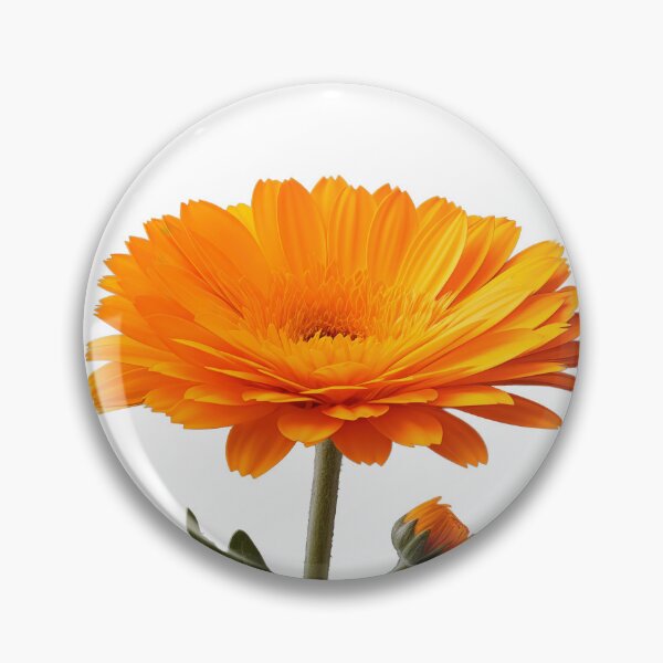 Item preview, Marigold, Digital art, Backgroundless designed and sold by LiliesPrint.