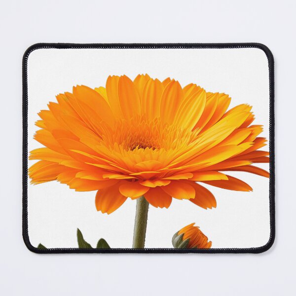 Item preview, Marigold, Digital art, Backgroundless designed and sold by LiliesPrint.