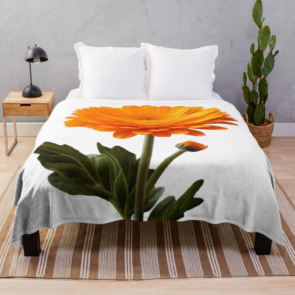 Item preview, Marigold, Digital art, Backgroundless designed and sold by LiliesPrint.