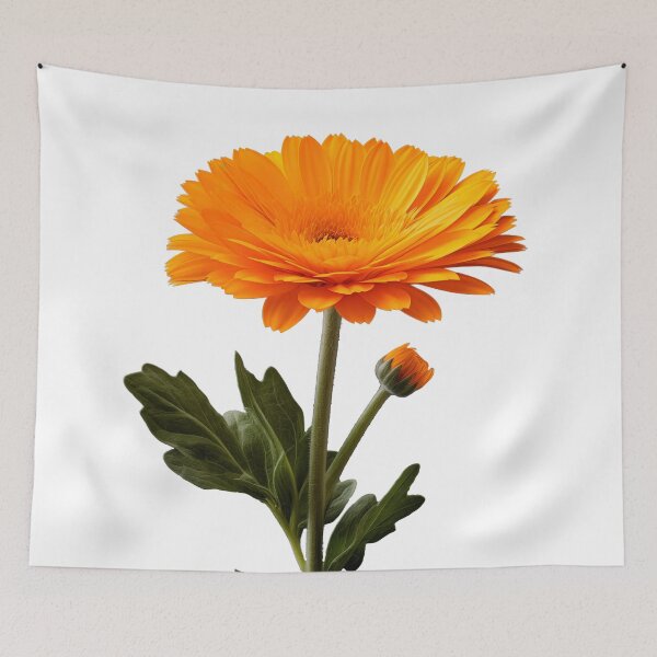 Item preview, Marigold, Digital art, Backgroundless designed and sold by LiliesPrint.