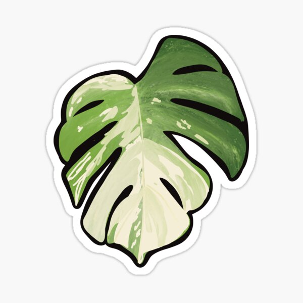 Vista previa del artículo con la obra «Monstera Albo», diseñado y vendido por gumballols.