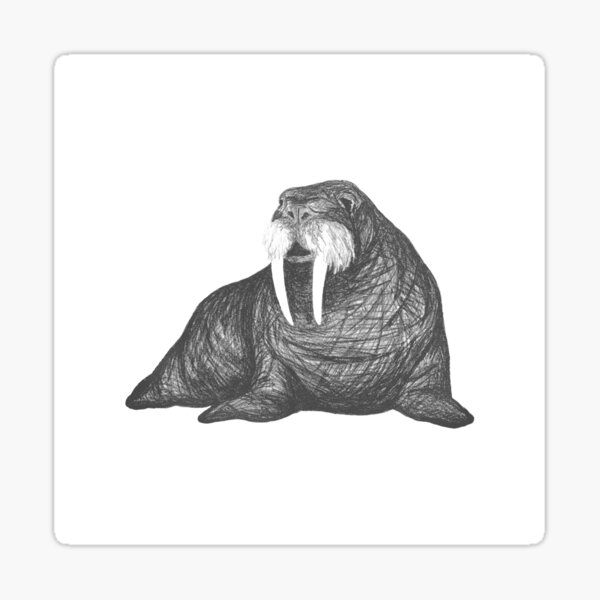 Item preview, Frank Wallace in White | Walrus Drawing  designed and sold by BlueHazeStudio.