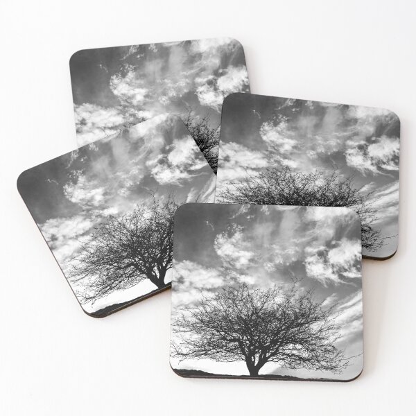 Item preview, Digital Photography  tree silhouette  in monochrome  designed and sold by SimonJohnson1.