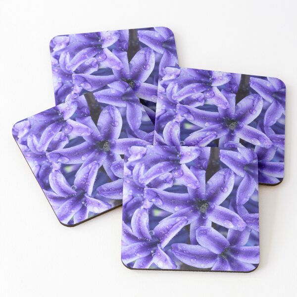 Item preview, Hyacinthus orientalis  'Blue Jacket'   AGM  Hyacinth   designed and sold by Chris Burrows.