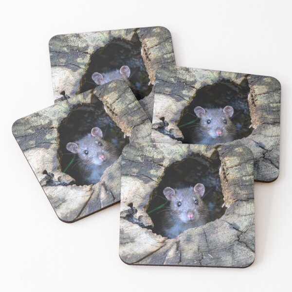 Item preview, Rodent looks out designed and sold by George Kelsey.