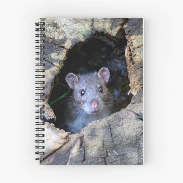 Item preview, Rodent looks out designed and sold by George Kelsey.