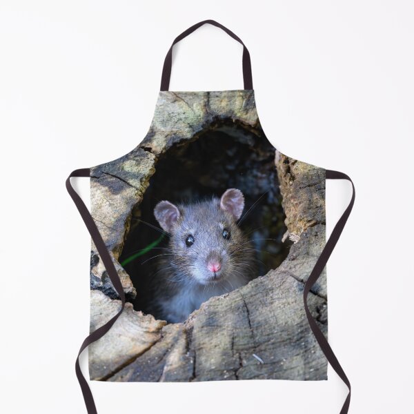 Item preview, Rodent looks out designed and sold by George Kelsey.