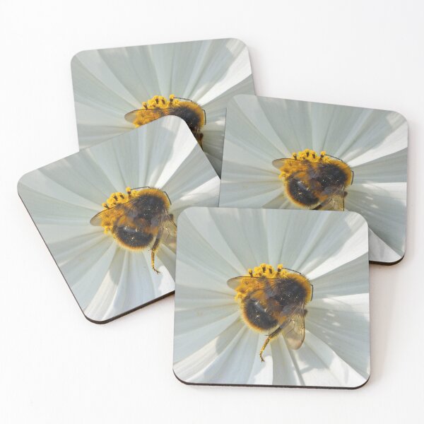 Item preview, Carder Bee on white flower designed and sold by Umdash919.