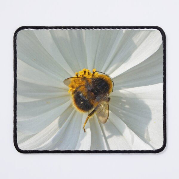 Item preview, Carder Bee on white flower designed and sold by Umdash919.