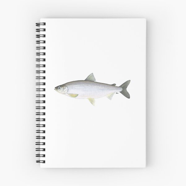 Item preview, Cisco (Coregonus artedi) designed and sold by LeakyCanoeArt.