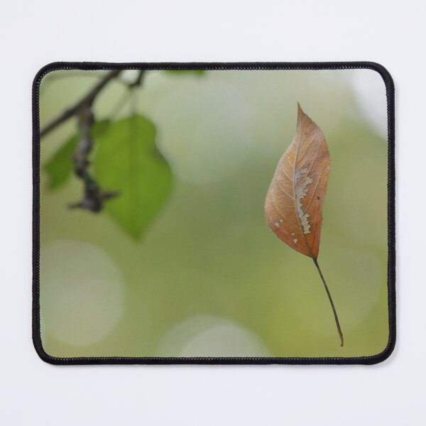 Item preview, Falling Leaf designed and sold by relayer51.