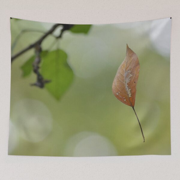 Item preview, Falling Leaf designed and sold by relayer51.