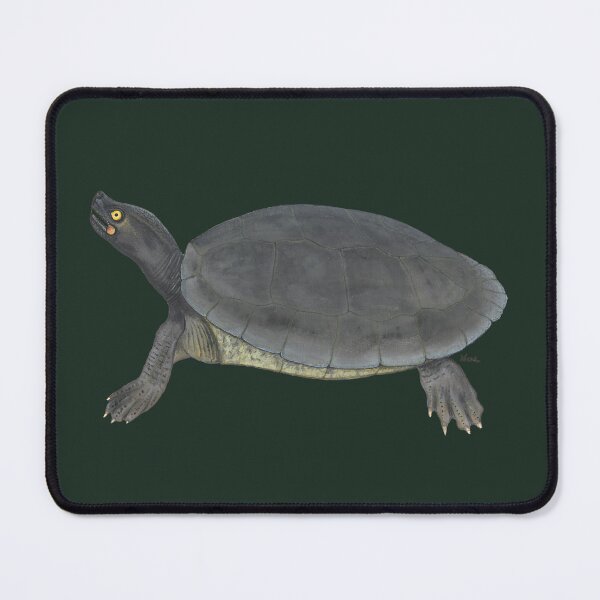 Item preview, Royal Turtle (Batagur affinis) designed and sold by LeakyCanoeArt.