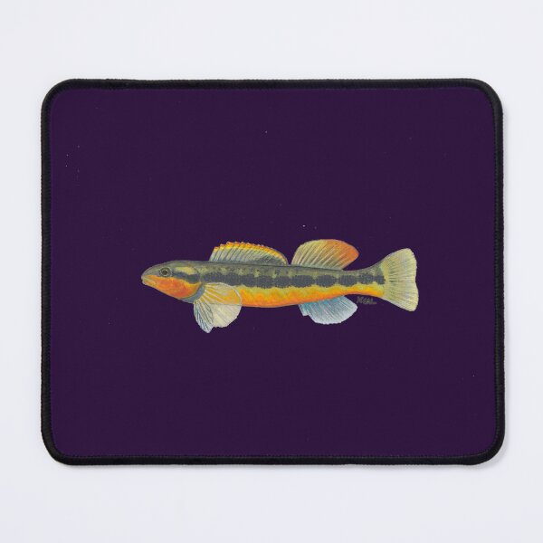 Item preview, Tangerine Darter (Percina aurantiaca) designed and sold by LeakyCanoeArt.