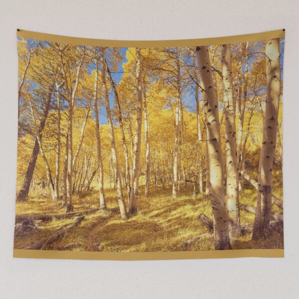 Item preview, Golden Aspens designed and sold by jvnimages.