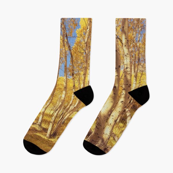 Item preview, Golden Aspens designed and sold by jvnimages.