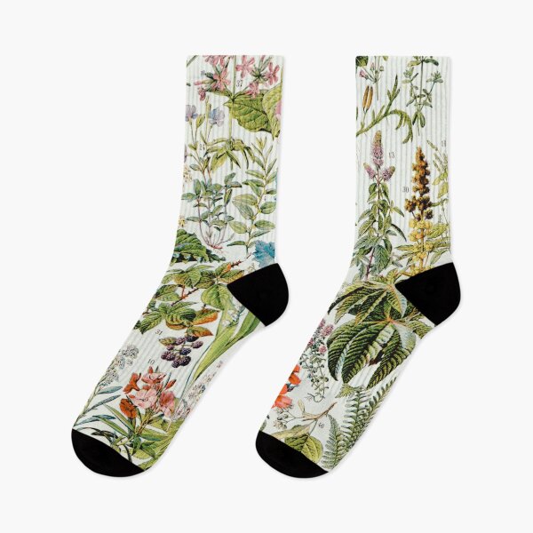 Item preview, Wildflowers Vintage Botanical Medicinal Plants designed and sold by cutesy.