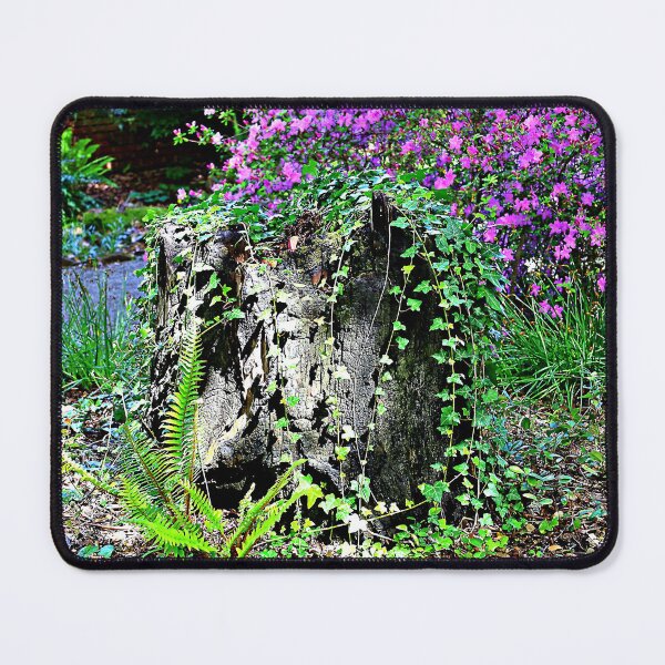 Item preview, A Tree Stump and Friends designed and sold by Martha Sherman.