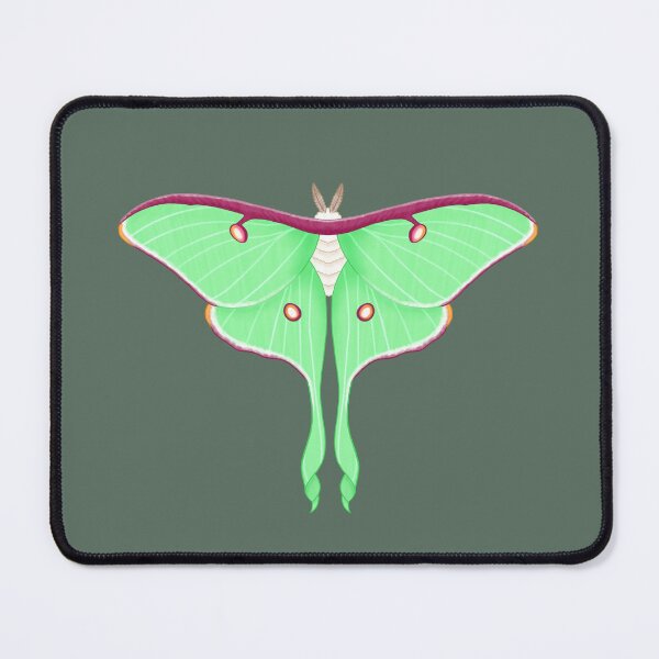 Item preview, Luna moth designed and sold by Honeysideup.