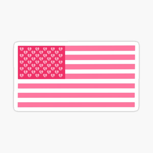  USA Flag Patriotic Fish Logo with Hidden Fishing Words