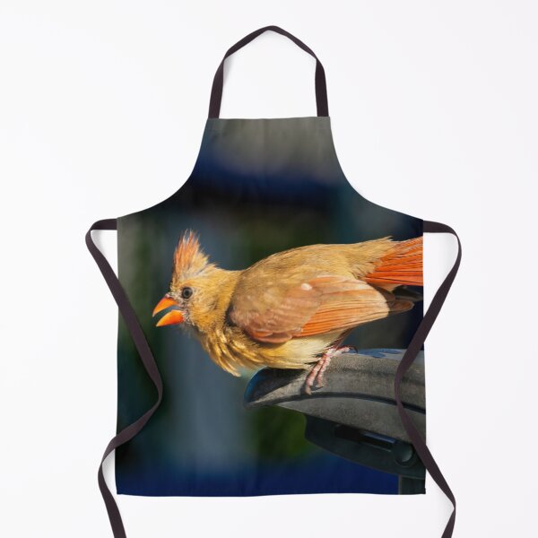 Item preview, Mrs. Cardinal Bird visiting today   designed and sold by utakloss.