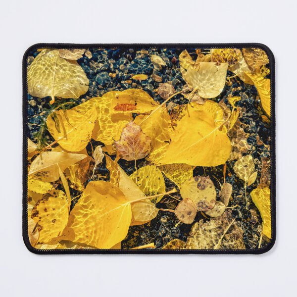 Item preview, Submerge Aspens designed and sold by jvnimages.